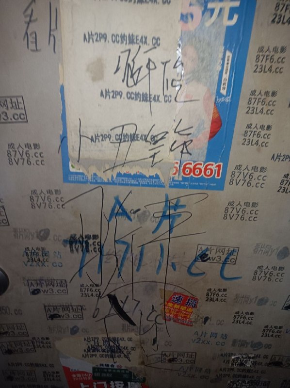 👤 来自