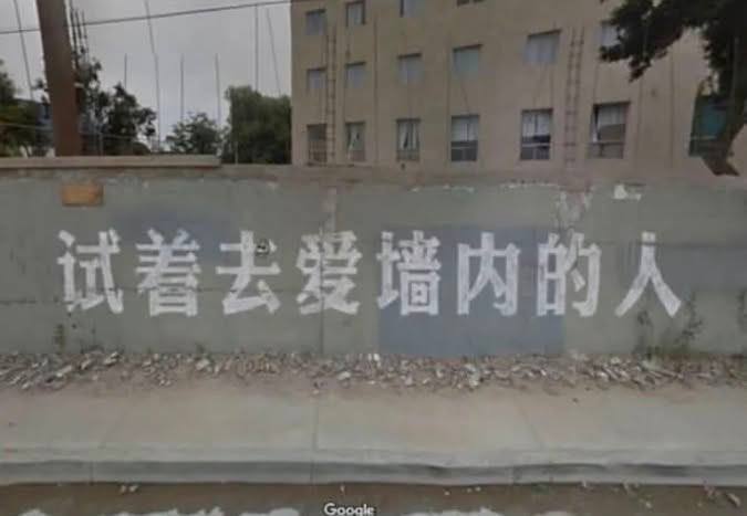 墙内的人确实有些欠爱