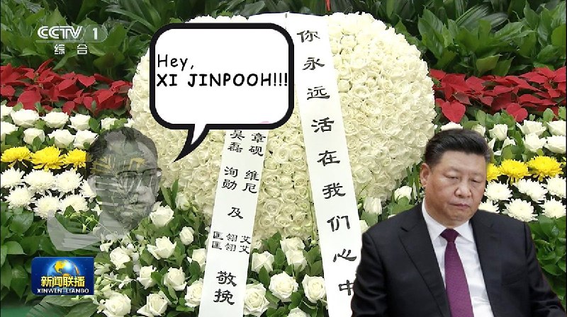 维尼的创伤 be like