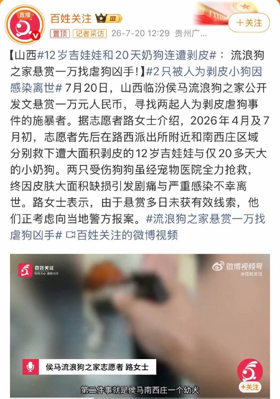 中国绝对是世界上最落