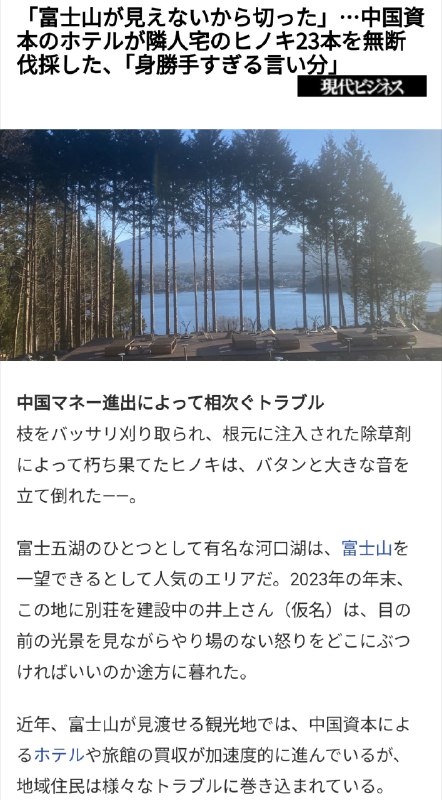 因看不见富士山，中资
