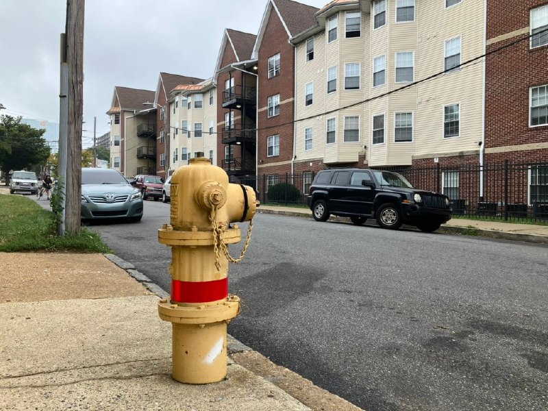 主席眺望着反贼聚居的小区，心说，“你们一个都逃不了”