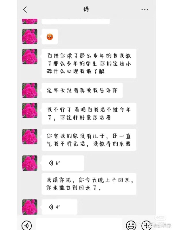 “是你让我们家没有儿子的”