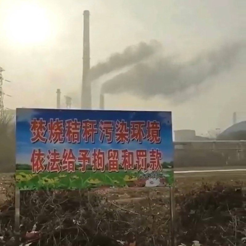 墙国普利策合集3，特别感谢匿名网友投稿