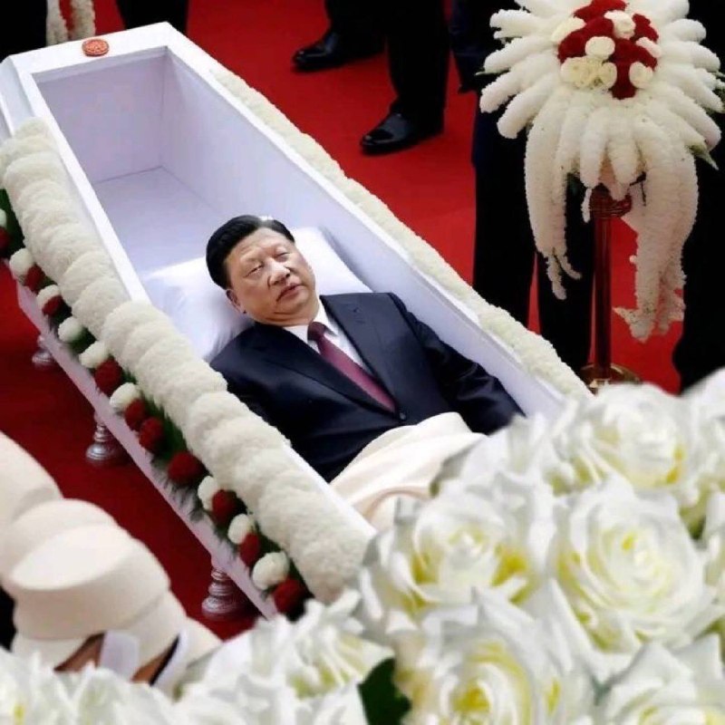 小习我已经躺平了，大