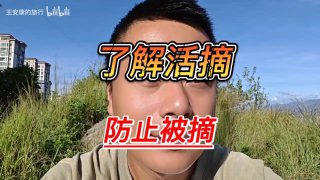 11月7日，一位环游
