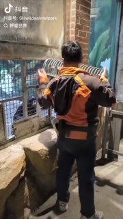 笼里的出来搞核酸～～～