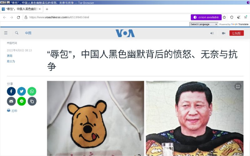 美国之音中文网现已推出洋葱站点，中国听众可通过Tor浏览器网桥自带的翻墙功能进入洋葱服务，匿名安全访问美国之音，避开老大哥的审查和监控