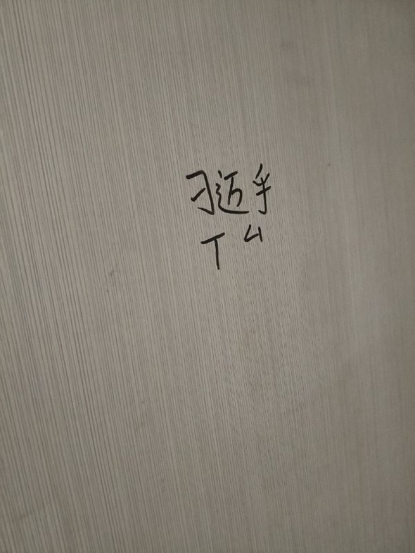 墙国🇨🇳某厕所#