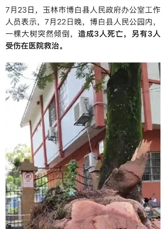 这年头有八杀男刀，三