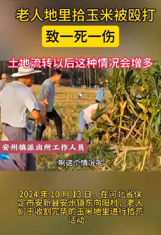 在河北拾可不中了