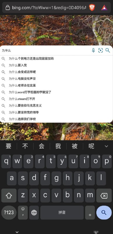 使用日本代理IP地址，打开Brave浏览器的无痕模式，在谷歌和必应输入“为什么”的推荐