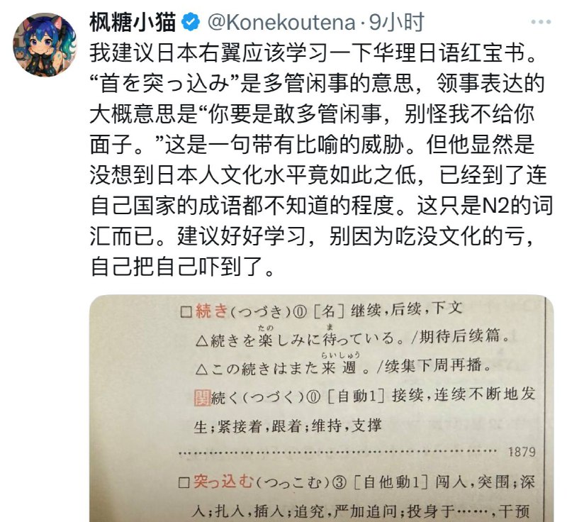 滞日粉红枫糖小猫力挺