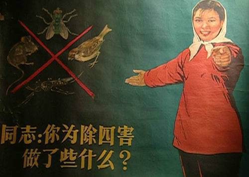 #辱华反华分子介绍378 西村博之日本互联网企业家，匿名BBS“2ch”的创立者