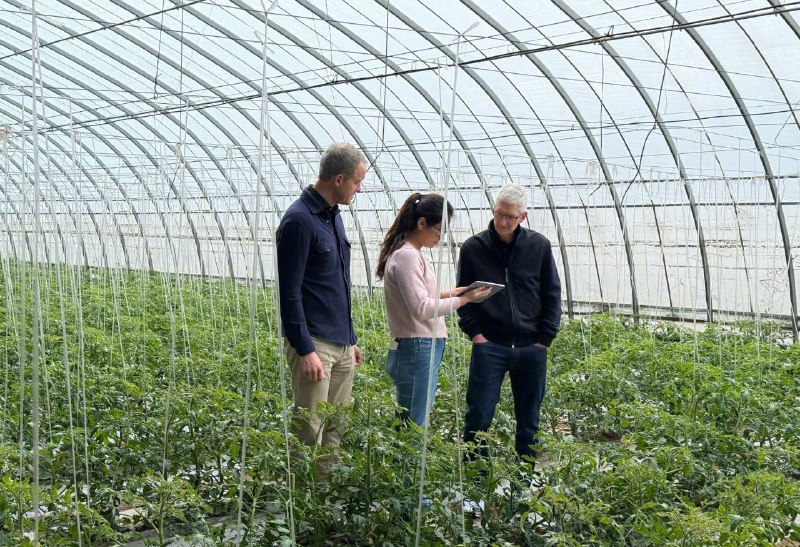 苹果CEO库克昨日时隔半年后再度访华