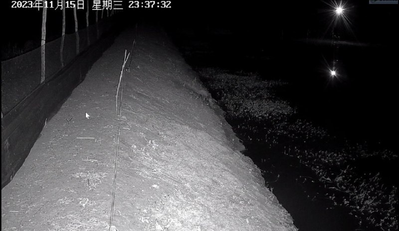 这是海康威视摄像头的录像截图，可以清晰地拍摄远处岸上的螃蟹