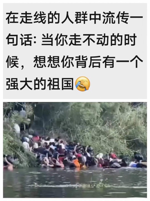 #这个盛世如你所愿