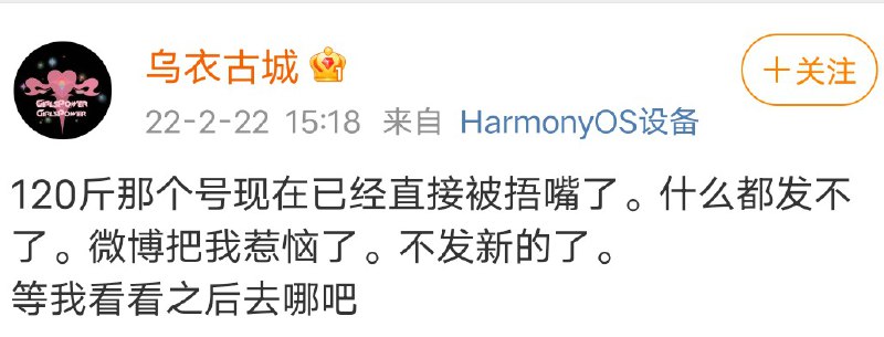 试图探访丰县“铁链女”并一度被捕的微博博主“我能抱起120斤”在微博大号“乌衣古城”披露，她近日经常发言的账号“我能抱起120斤”被禁止发布内容