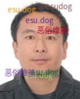 申作軍 現任香港大學副校長（研究）美籍中共黨員（2018年有效），1996年4月1日加入中共（赴美前夕）一邊拿著高薪擔任加州大學伯克利教授一邊吃裡扒外，擔任清華大學工業工程系系主任、黨委委員