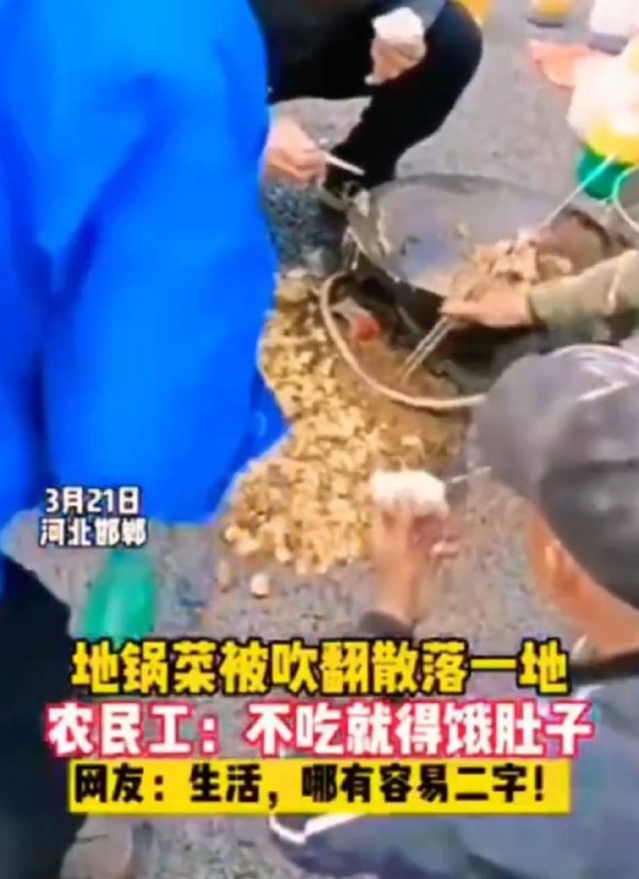 地锅菜嗯啊