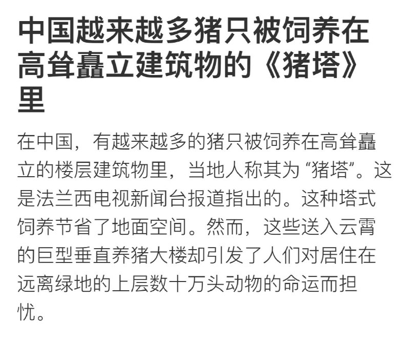 不是，你是在说猪？#墙国文学