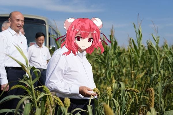 茨木华扇谈治乡理政Credit