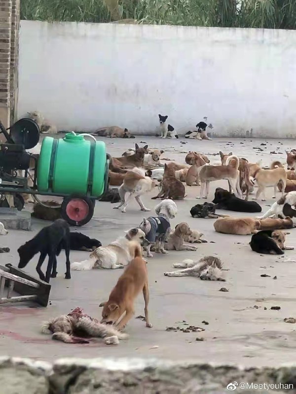 «鱿鱼游戏中国🇨🇳特供版»投诉