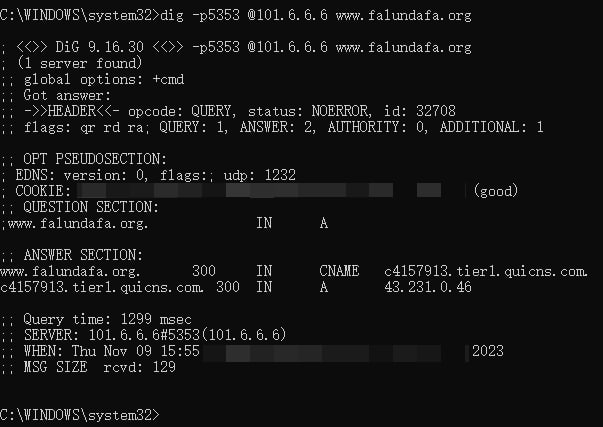 清华大学计算机社团TUNA推出的域名解析服务（DNS），能正确解析法轮功网站的IP地址，并可以直接翻墙上网浏览Facebook