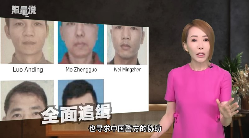 新加坡公共广播服务新传媒（Mediacorp）替为人民行动党（PAP）政府实行的中国人免签政策洗地，下方评论区的新加坡国民第一个不答应🤧