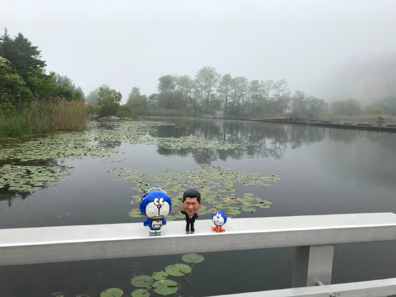 一家三口🐻投稿By