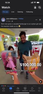 清华大学计算机社团TUNA推出的域名解析服务（DNS），能正确解析法轮功网站的IP地址，并可以直接翻墙上网浏览Facebook