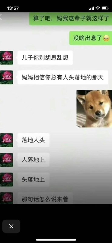 齐心和习远平的聊天对话