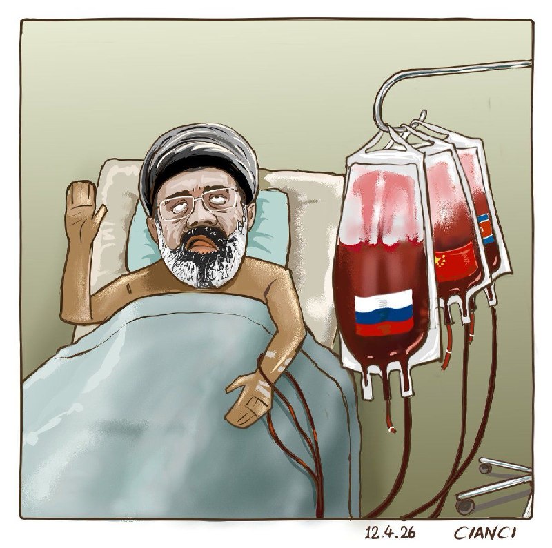 《供血充足》😎 匿