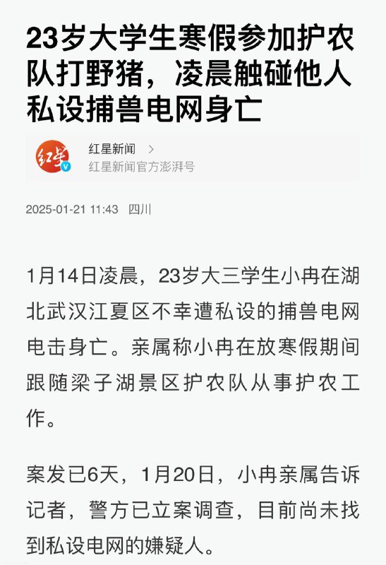 2025，上山下乡倒