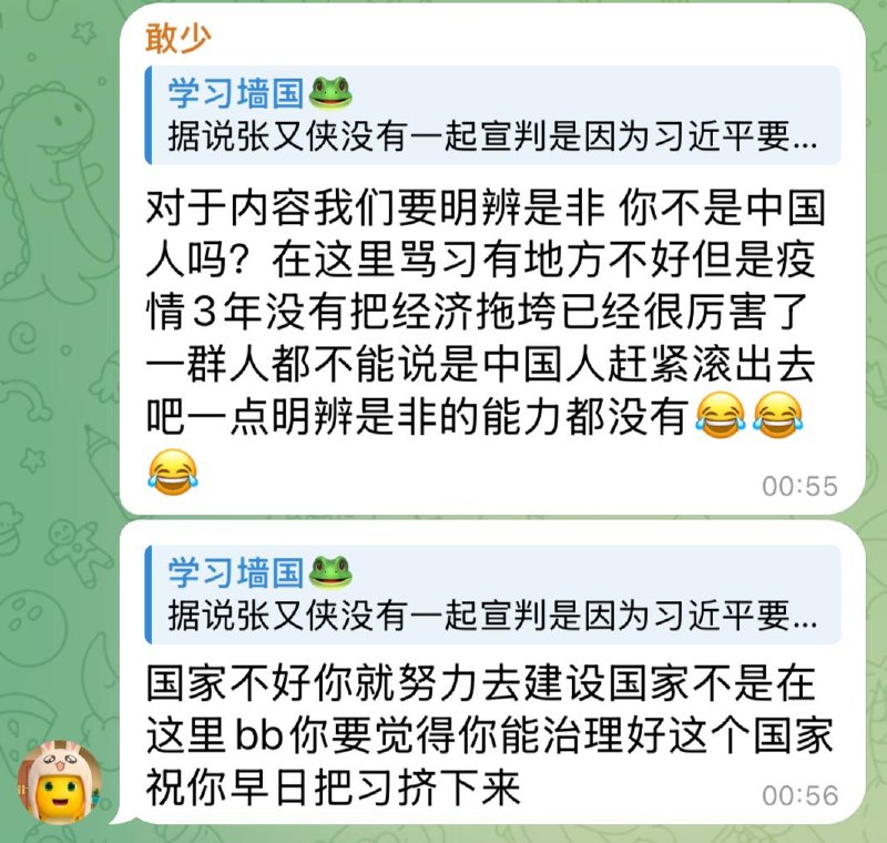 网评员煽动境外势力颠