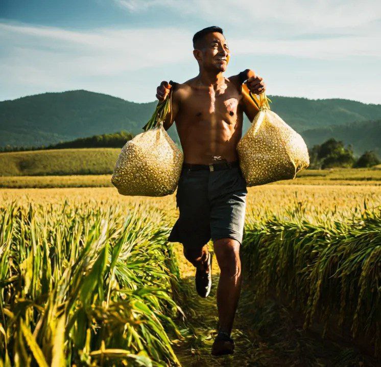 国内破ai挺好的 说了十里山路不换肩直接封号🤣👉国内破ai挺好的 说了十里山路不换肩直接封号🤣👉