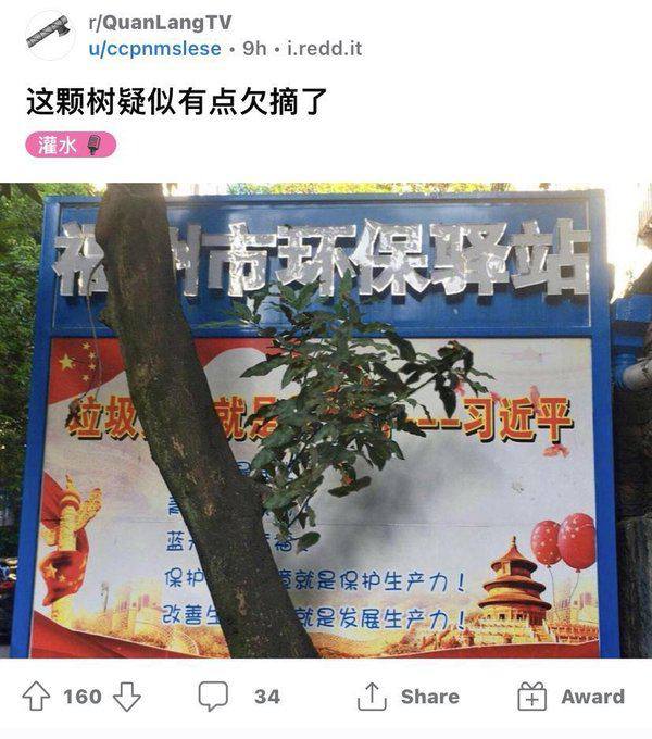 墙国普利策合集2，非常感谢匿名网友投稿