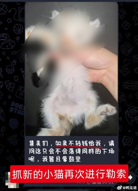 杰克辣条团体 开始走缅甸勒索路线杰克辣条团体 开始走缅甸勒索路线