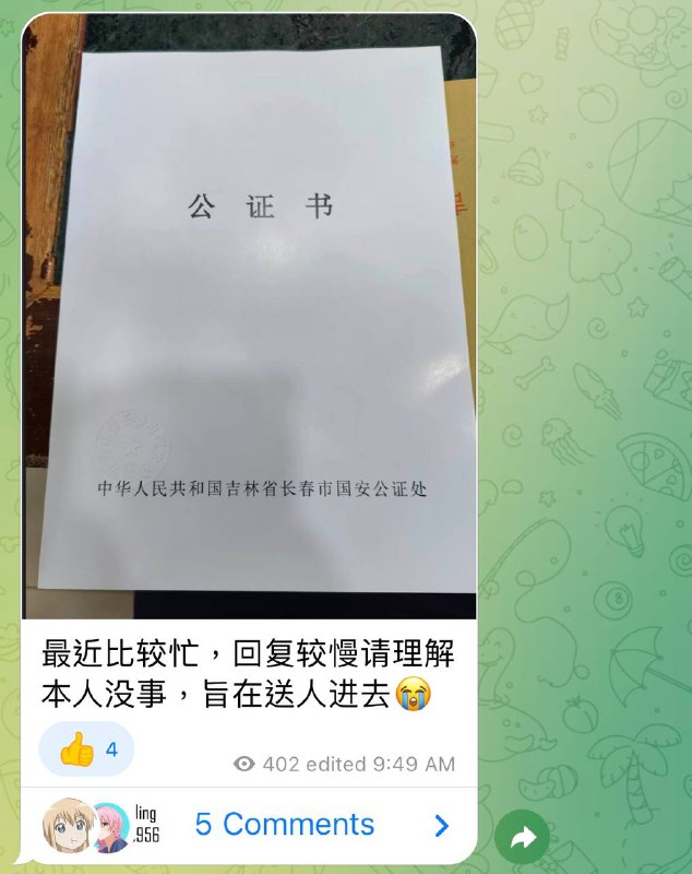 上回提到的无污染DNS运营者向法院做公证，要将人送进去