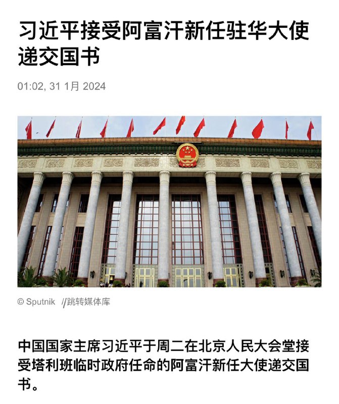 这下真恐怖分子大哥了