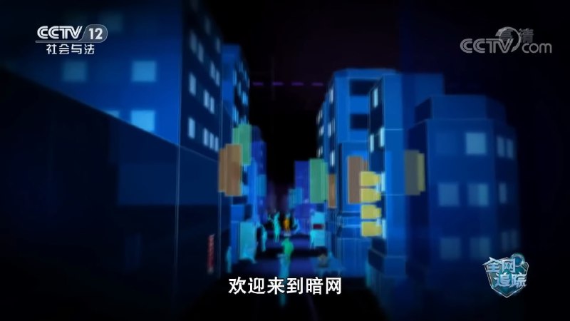 央视在2019年曾经有一个名为“全网追踪”的节目，介绍了Tor浏览器和旧版的Tor启动器，但其名称被和谐了