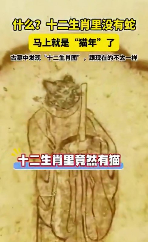 那你们的意思是习主席和毛主席属，猫？怪不得要做猫泽东第二