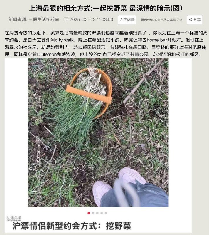 回顾轻断食的错误历史