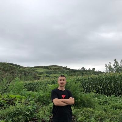 #四通桥 勇士 #彭载舟 本名 #彭立发希望 #北京 公民能联系到他的家属🙏《电磁波电场对金属表面交变电荷产生的单向推动力(一种无工质电磁推进模型)》（科技创新导报 2021年5期） 作者