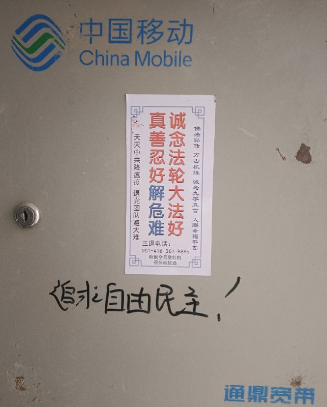 轮友狂#厕所革命By