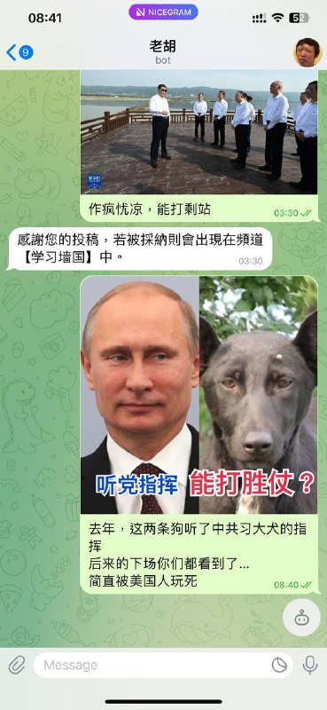 去年，这两条狗听了中共习大犬的指挥后来的下场你们都看到了…老胡认为，他们俩简直被美国人玩死