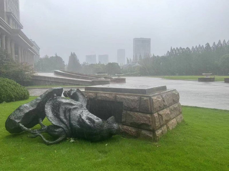 复旦大学干活的驴倒下了