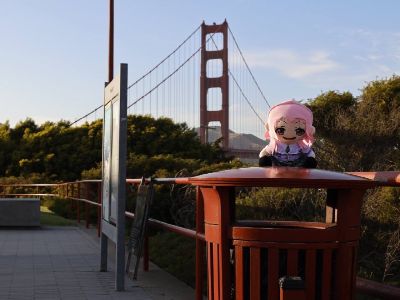 其实你支军训、开各种