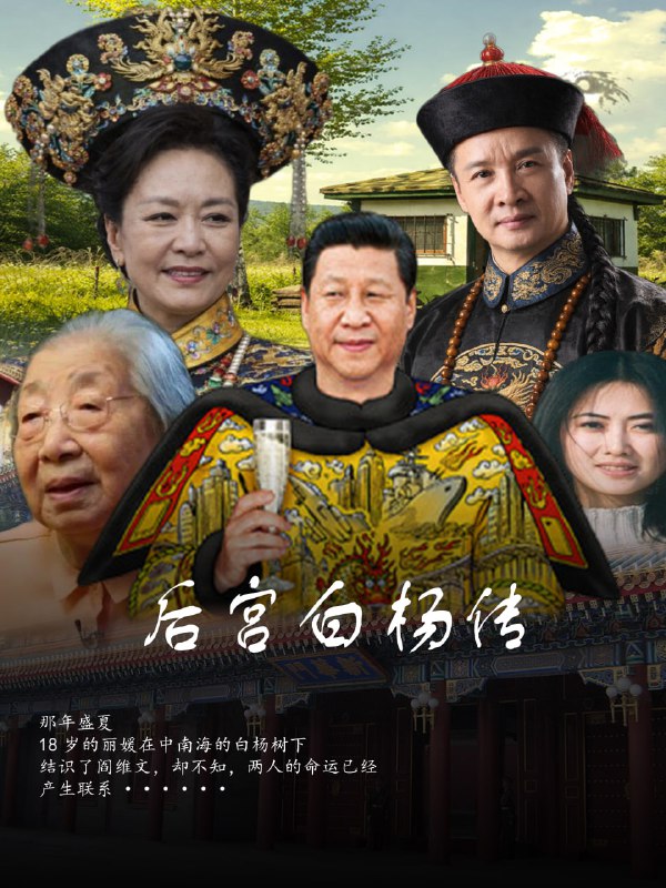 设计一张海报：后宫白