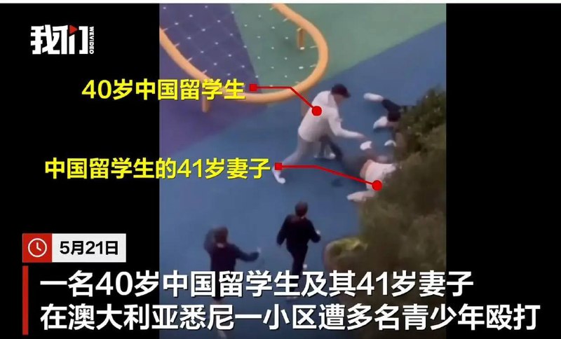 俩成年人被一群小学女